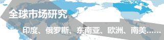 全球市场研究报告