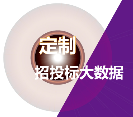 定制招投标项目大数据