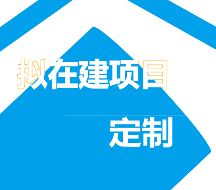 拟在建项目信息定制